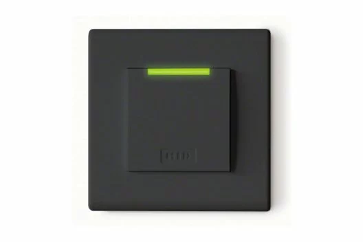 228544.jpg