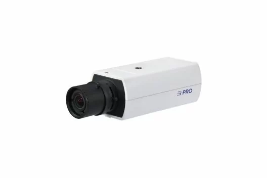 238032.jpg