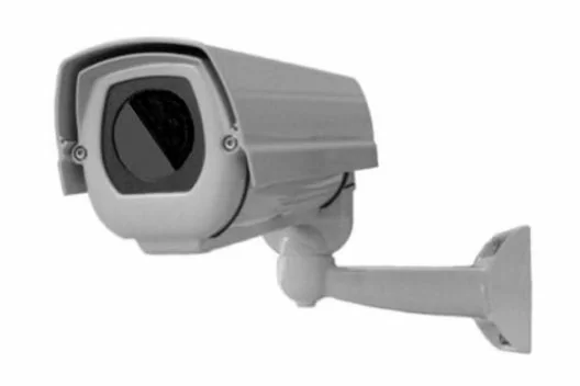 241262.jpg