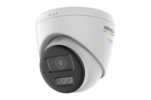 245443.jpg