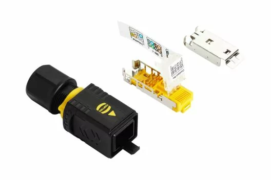 246256.jpg