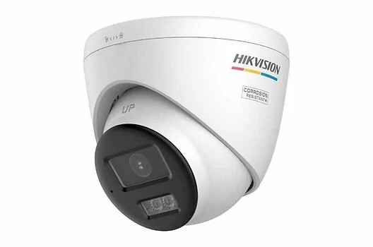 243392.jpg