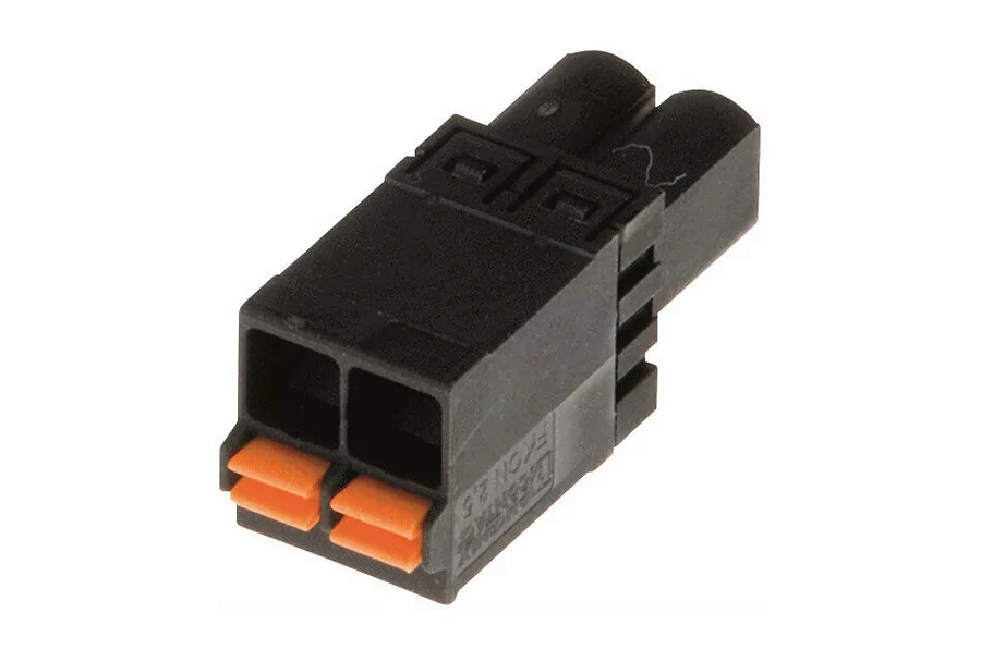 209561.jpg