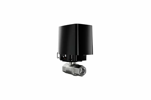239593.jpg
