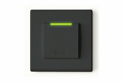228544.jpg